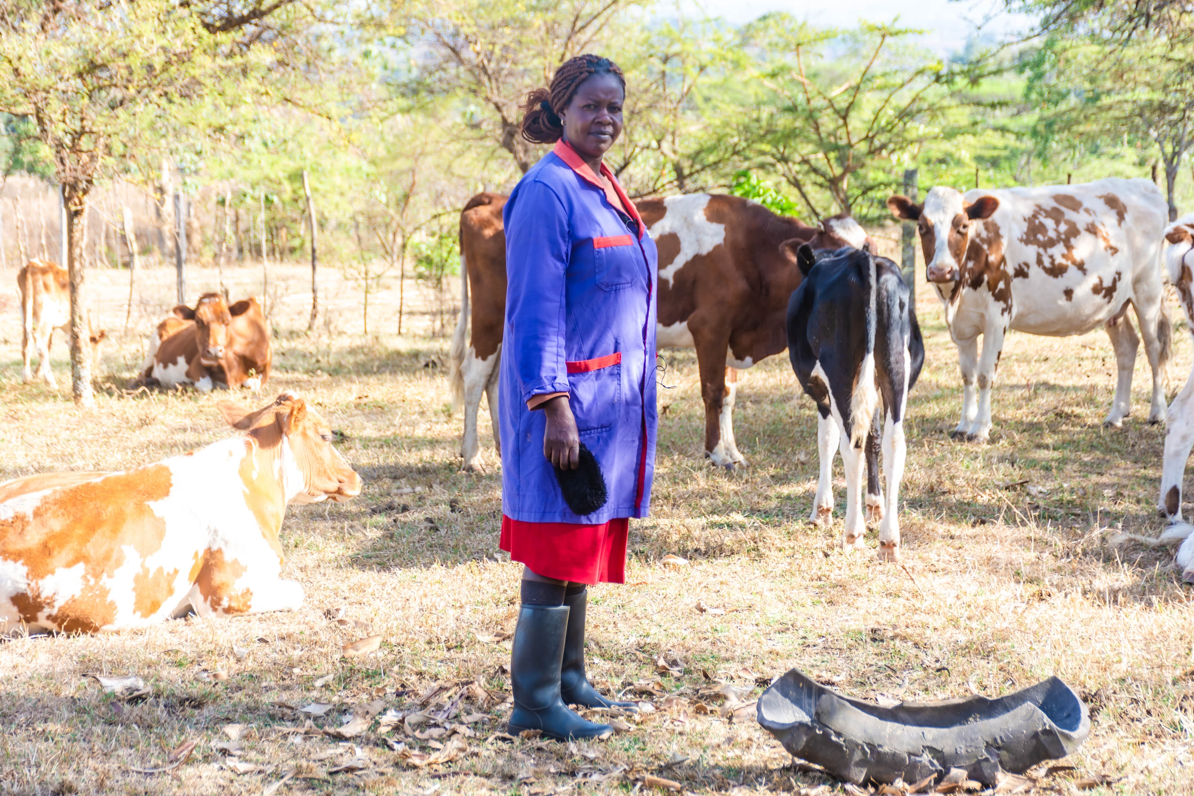Dairy farmer in Kenya