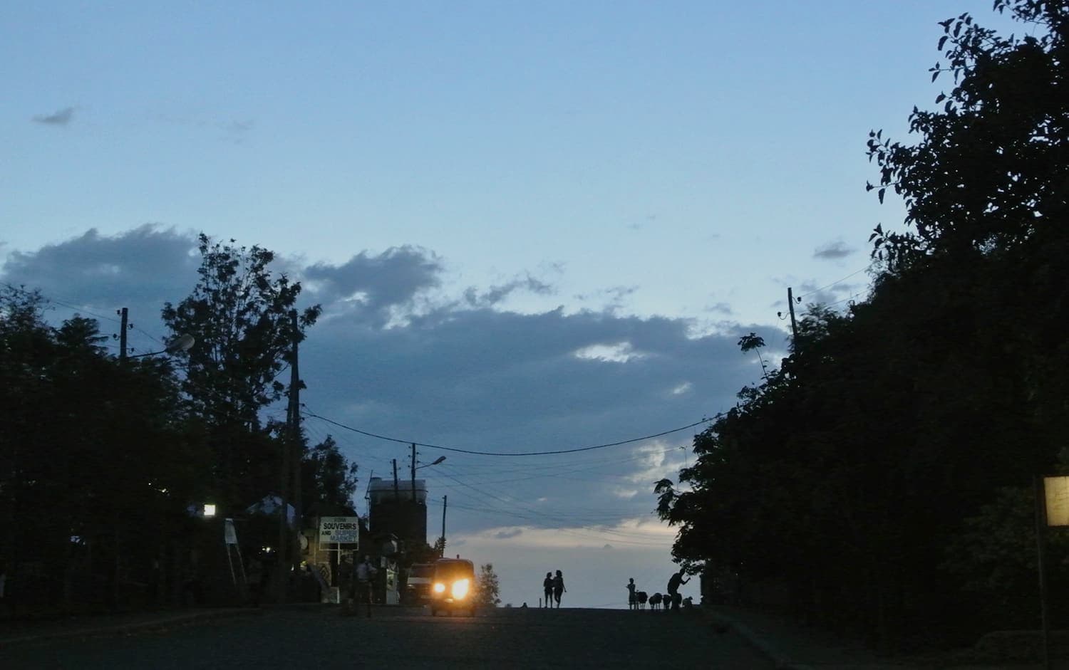 Street with trees in evening light